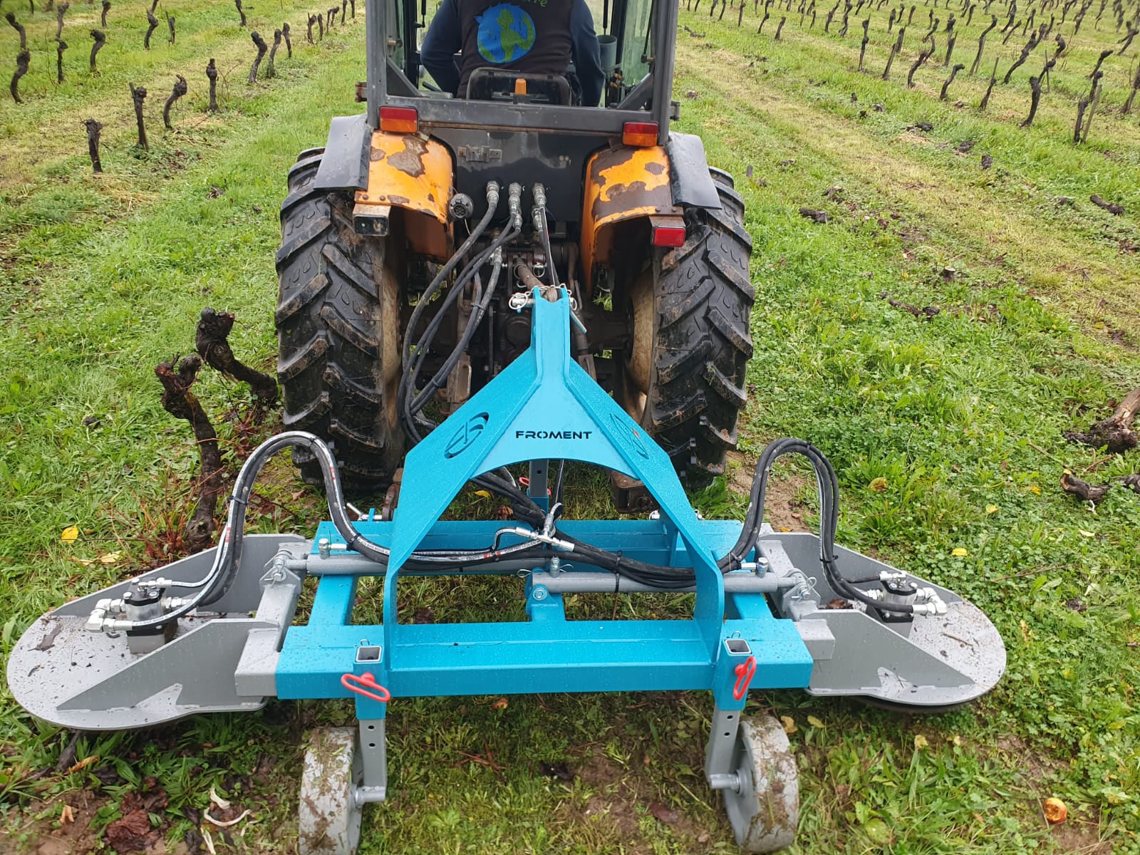 Coupe souche de vignes